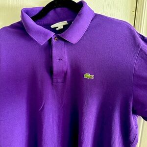 XXL Lacoste classic fit purple polo